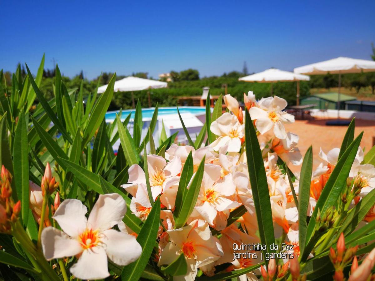 Quintinha Da Foz Guest House Sao Pedro  외부 사진