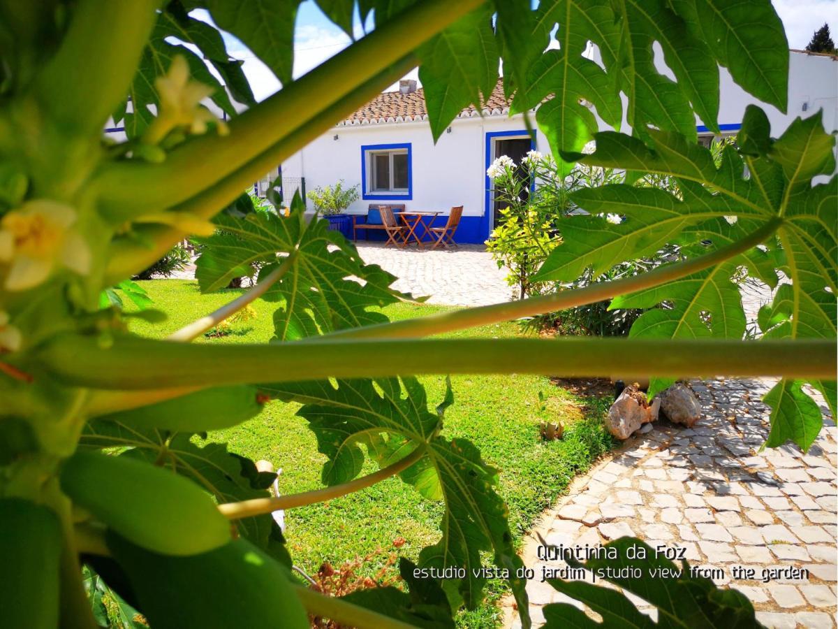 Quintinha Da Foz Guest House Sao Pedro  외부 사진